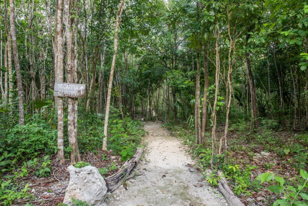 Hotel Casa Costal - Glamping Experience Puerto Morelos Esterno foto