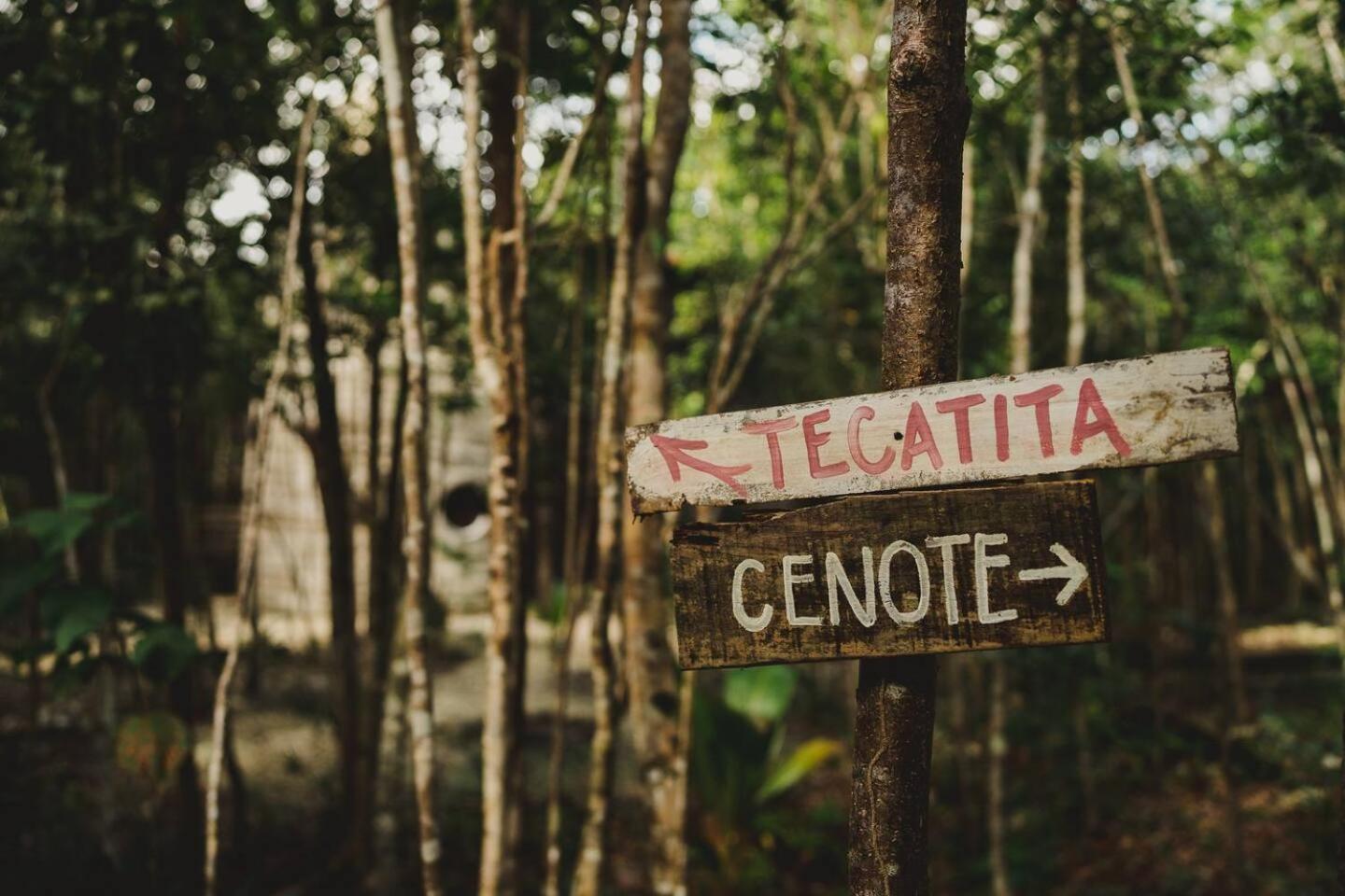 Hotel Casa Costal - Glamping Experience Puerto Morelos Esterno foto