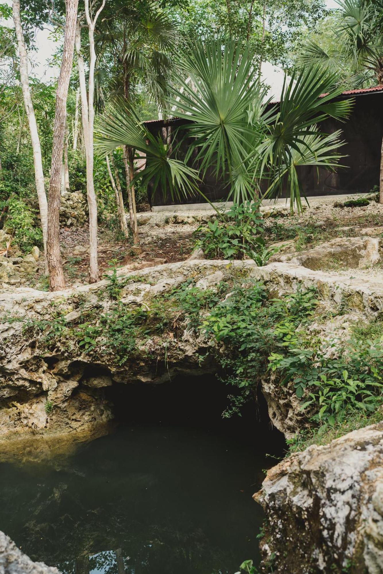 Hotel Casa Costal - Glamping Experience Puerto Morelos Camera foto